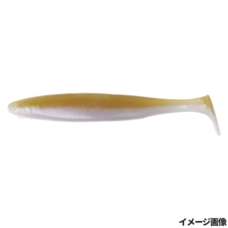 T246生ワカサギ