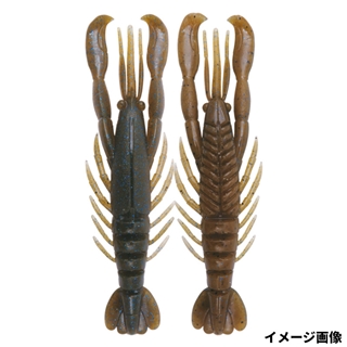 T250 ブルーバックシナモン