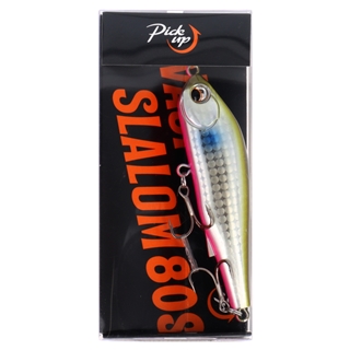 004 コボラ(レンズホロ)