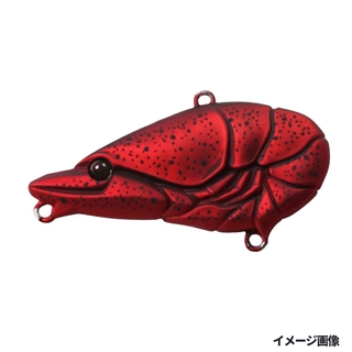 #19 アメリカザリガニ