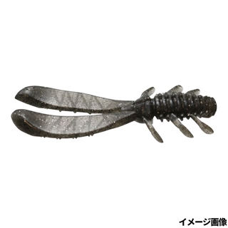 #06 ベビーシャイナー(稚魚)