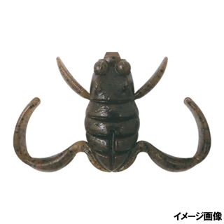 E002 ツチガエル