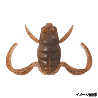 E006 アカガエル