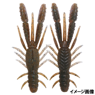 T242 テナガエビ