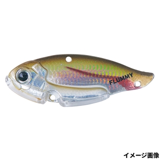 MV011 ホロワカサギ