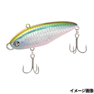 コッチノシャッド