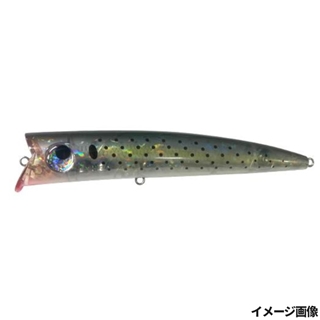 23 CH-KONOSIRO(クリアホロ・コノシロ)