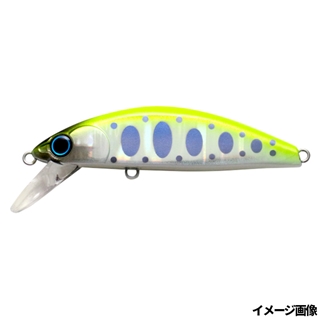 #009 チャートヤマメ