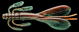 113（チャゴキ）