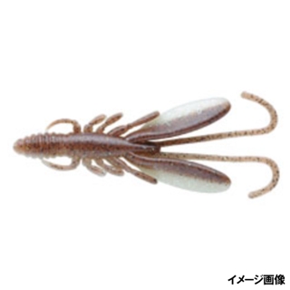 245 ホタルイカ(夜光)