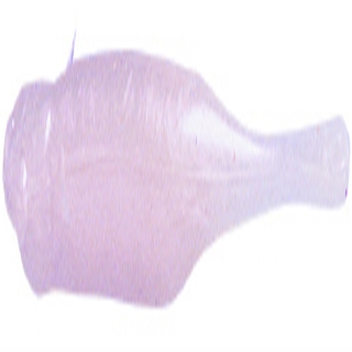 #010（パールグロウ　夜光）