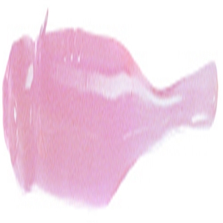 #119（オキアミ　夜光）