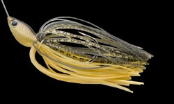 702 ゴールドシャッド