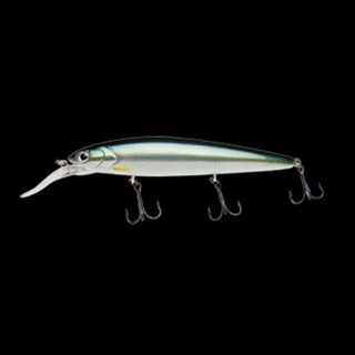 240 ライトニングハス