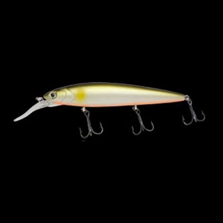 241 パールアユオレンジベリー