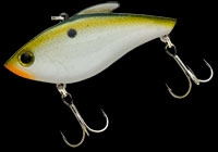 230（セクシーシャッド）