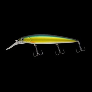 245M マットゴールドハス