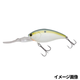 #230（セクシーシャッド／ボーン）