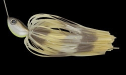 757 シュリンプイメージ