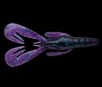 013 ジューンバグ