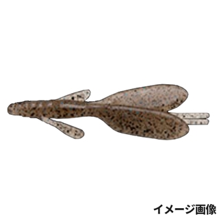 351 バンドウカワエビ