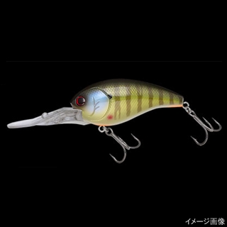 309 パールリアルギル