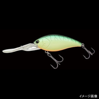 350 クリームチャートホットタイガー(ボーン)