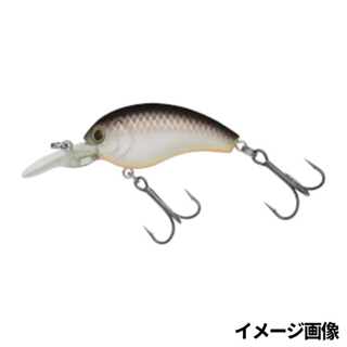 352 ブラウンシャッドオレンジベリー(ボーン)