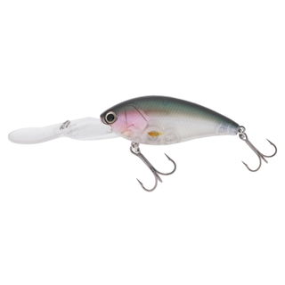 301 クリスタルオーロラゴースト(クリア)