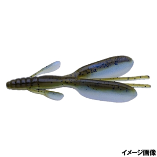 503 バンドウゴビィ(荻野貴生プロガイドセレクト)