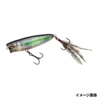 395LH レイヤードホロ生オイカワ