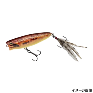 397 生アカガエル