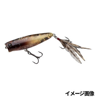 400 生アブラゼミ