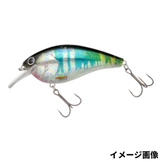 365CH クリアホロオイカワ