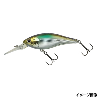 437 ワカサギアテンション