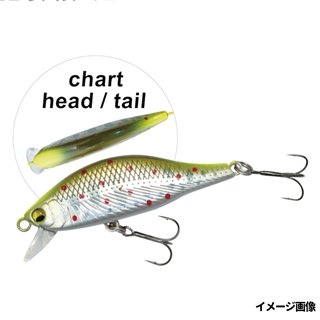 02 リアルアマゴ