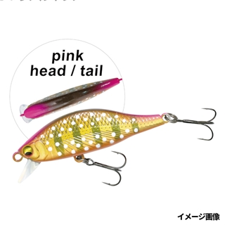 04 リアルイワナ