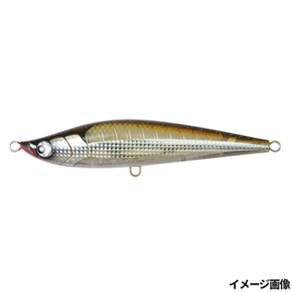 05 カマス(クリアボディ)