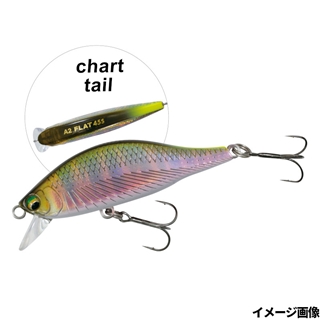 13 リアルオイカワ