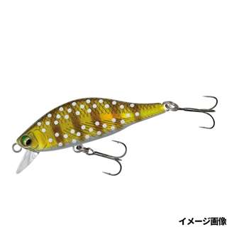 14 ゴールドイワナ