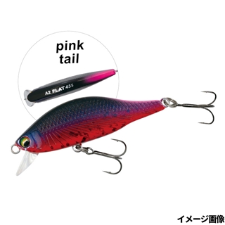 17 アカハライモリ