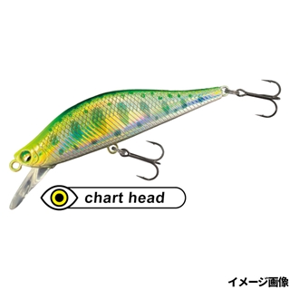 01 グリーンバックヤマメ