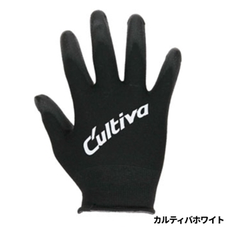 カルティバホワイト