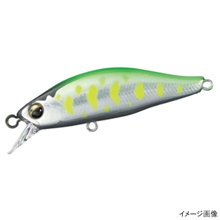 チャートヤマメ