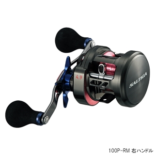 DAIWA - ダイワ  ソルティガBJ 100P-RM  美品 ダイワ ソルティガ BJ 100P-RM 右ハンドル - 釣具のポイント