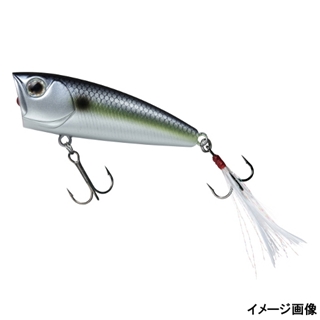 セクシーシャッド