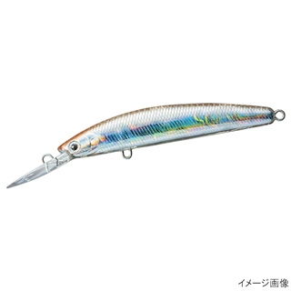 ホログラムワカサギ5