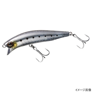 メタリックスルートランスイワシ