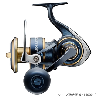 ダイワ ソルティガ 8000-P [2020年モデル] - 釣具のポイント
