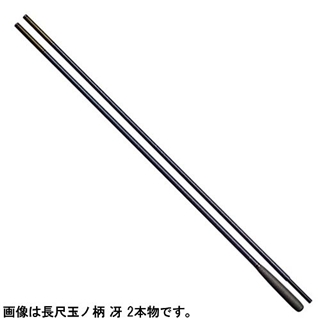 最終価格）ダイワ 冴 玉の柄 2本物